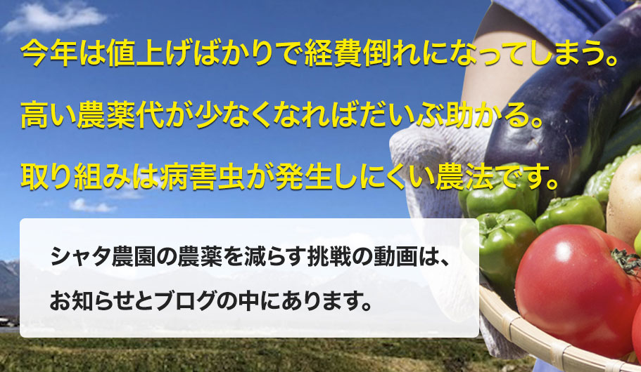 収益のあがる有機農業の出番です。主役は土壌と有用微生物。