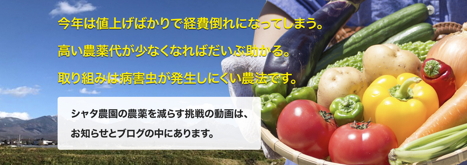 収益のあがる有機農業の出番です。主役は土壌と有用微生物。